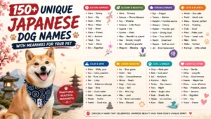 150 Unique japanese dog names