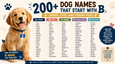 200+ Dog Names That Start With 'B': Unique, Cute, and Strong Picks