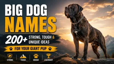 Big Dog Names 200+ Strong, Tough & Unique Ideas for Your Giant Pup