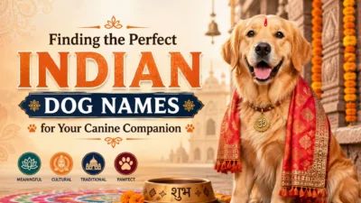 Golden retriever in traditional Indian attire with Indian dog names as a title